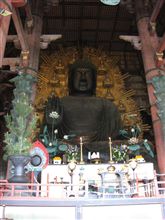 東大寺大仏殿見学