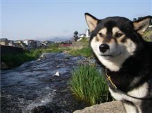 青空、春のせせらぎ.....