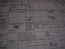 スキー猫の手術話（2005年）