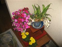 行ってきますは気持ちよく