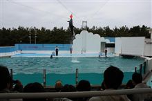 プチ旅行