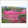 小室山公園