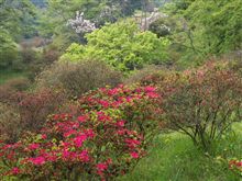 鳥見山公園