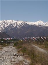 雪山と鯉のぼり