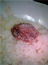 お疲れ！今日はやっぱり！