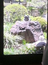 今日のお昼は。
