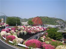 天気も良いので…