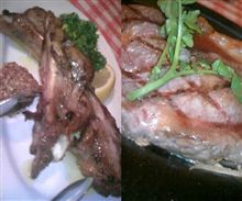 ゴールデン５。肉食系。