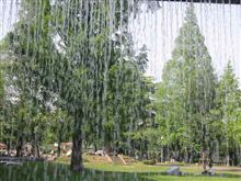 突然の大雨？