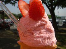 （佐野ＳＡ下り） とちおとめジェラート 