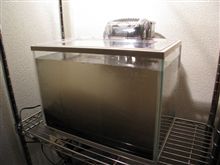 水槽を立ち上げました。