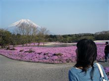 今春最後の花見？