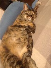 眠い