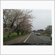１時過ぎの小岩井農場への道の ...
