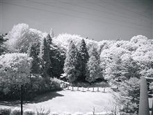 ５月４日ですが～お暇なら(*^_^*)この指と～まれ～(^^♪