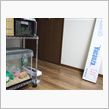 たまには遠めから・・・・（謎。