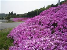 今日もドライブ♪