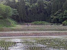 青年時代（井上用水）