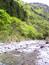 新緑と清流と