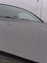 (&#180;д｀)Ｇコート初の雨