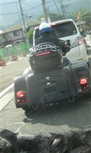 発見！！