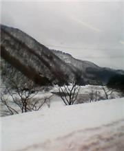 関川村付近
