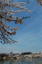 フォトギャラリー)桜前線追いかけて2009