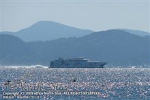 復活への期待 