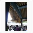 出雲地方へお出かけ
