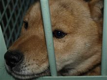 連休最終日