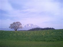 山と桜と空と