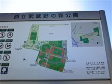 武蔵野の森公園、拡張工事中