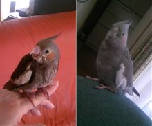 1周年でつ♪
