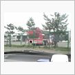 赤い梯子車に♪