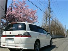 GW最終日...