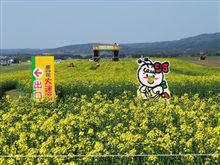 よこはま