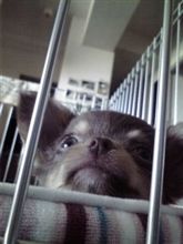忘れていた事実 忘れていた事実