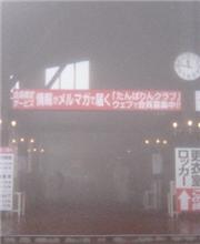たった３本