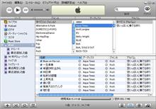 iTunes