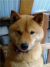 買ったのは3週間前・・・ 買ったのは3週間前・・・