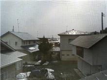 風邪につき休み4