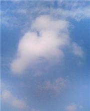今日は曇りから雨らしい★