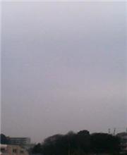 ★今日は冷たい雨 ★今日は冷たい雨