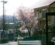 ★今日の通勤路で・・・★