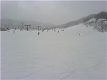 今シーズン最後かな？