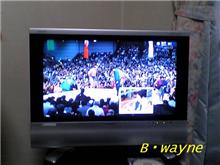 TV　ｷﾀ━━━━(ﾟ∀ﾟ)━━━━ｯ!!