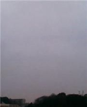 ★久々に寒い雨の朝★ ★久々に寒い雨の朝★