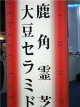 鹿  発見！！