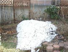 今週は連ｷｭｰ ……ε(　o･ω･) 
