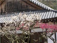 播州西部の城廻り 播州西部の城廻り